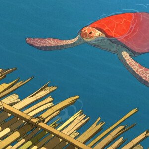 La tortue rouge