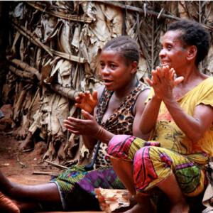 CONGO - TERRE DES PYGMEES