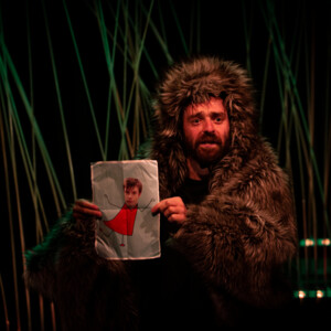 Le petit chaperon rouge