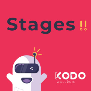 STAGE 2ème semaine de Pâques : jeux vidéo (en ligne)